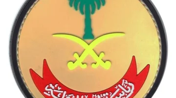 افضل قطاع في رئاسة أمن الدولة 