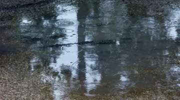 تفسير حلم ارض مبللة بماء المطر للمتزوجه