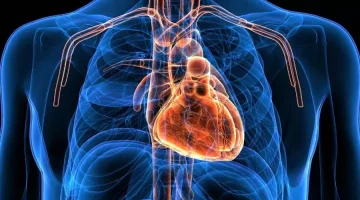 أعراض السحر في القلب