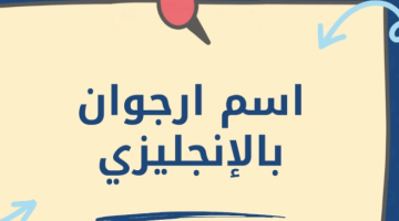 اسم ارجوان بالإنجليزي