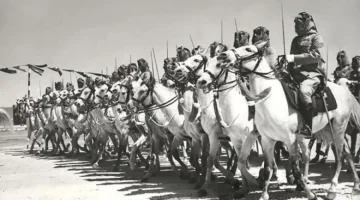 الحلافي وش يرجع