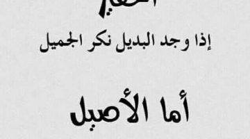 حالات واتس عن الناس الحقيرة