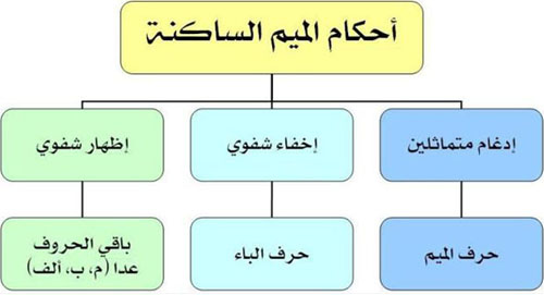 أحكام الميم الساكنة والتنوين