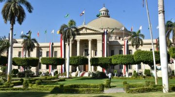 الصفحة الرسمية لطلاب جامعة القاهرة