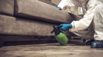 طريقة التخلص من الفاش في المنزل