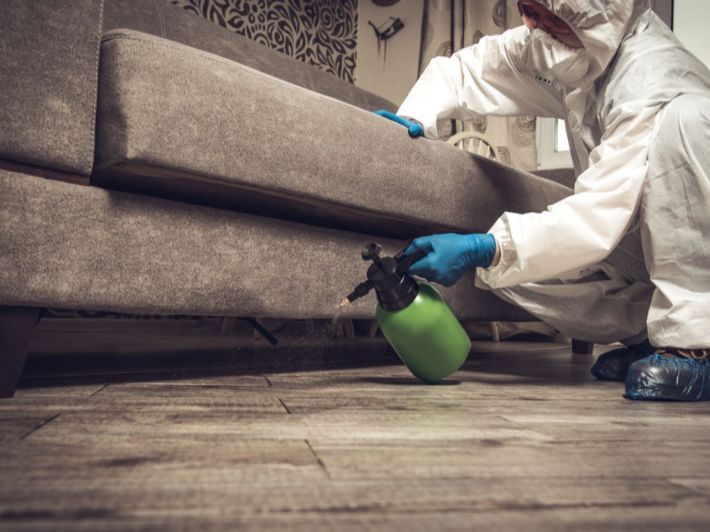 طريقة التخلص من الفاش في المنزل