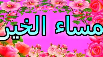 أجمل كلام مساء الخير 2025