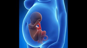 هل يتحرك الجنين في الشهر الثالث