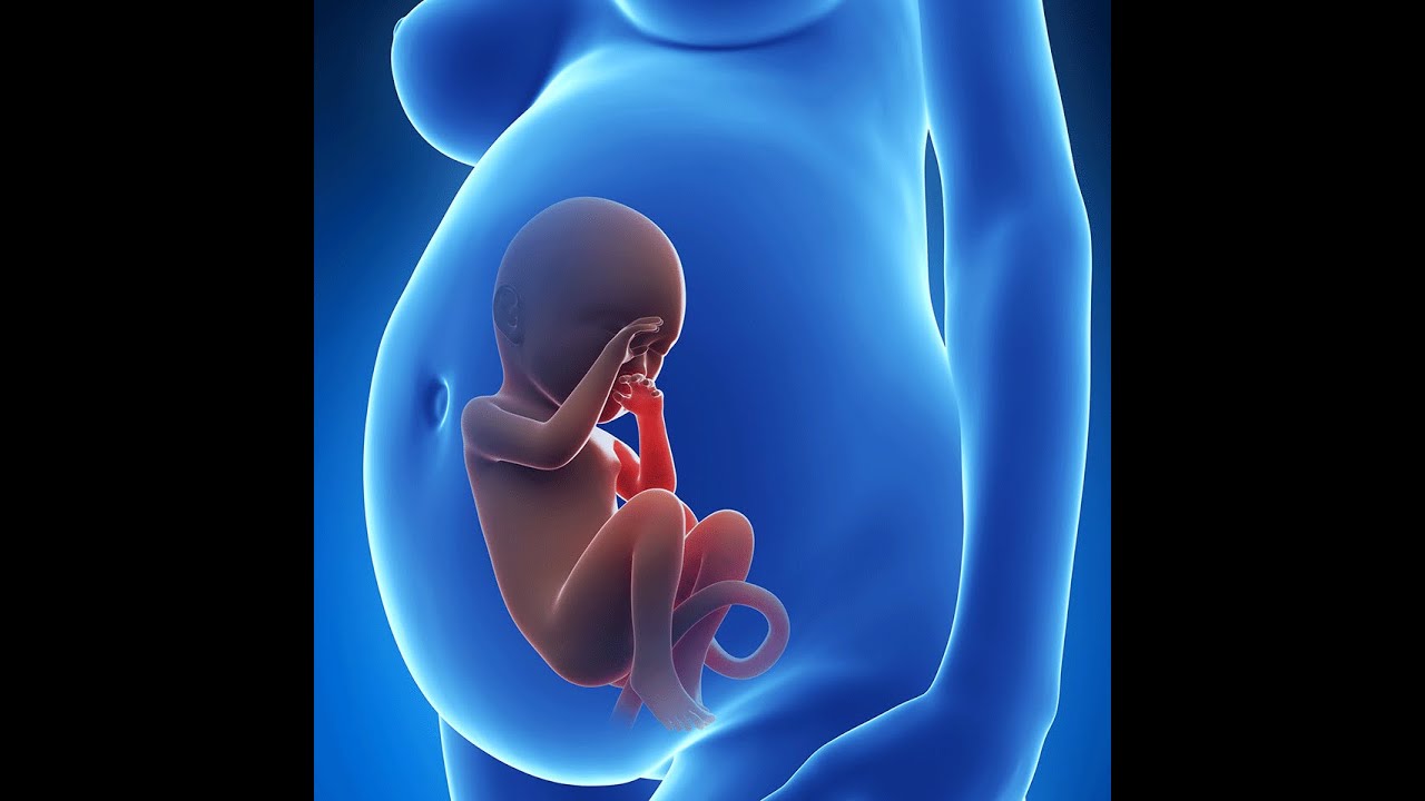 هل يتحرك الجنين في الشهر الثالث