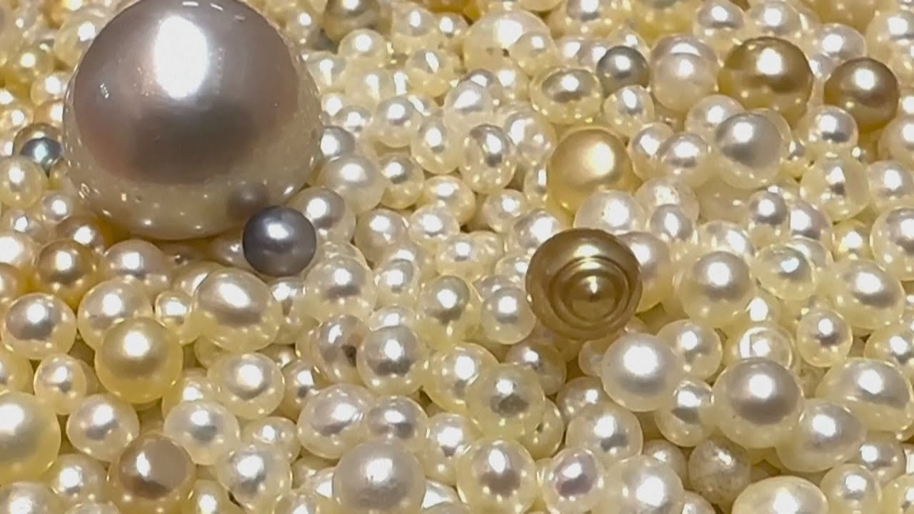 الفرق بين اللؤلؤ الطبيعي والصناعي والزراعي