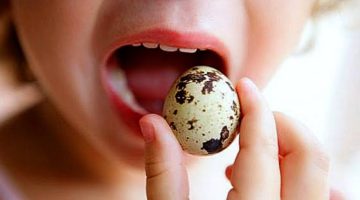 فوائد بيض السمان للرجال