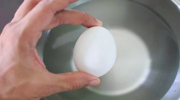 تفسير البيض الفاسد في المنام