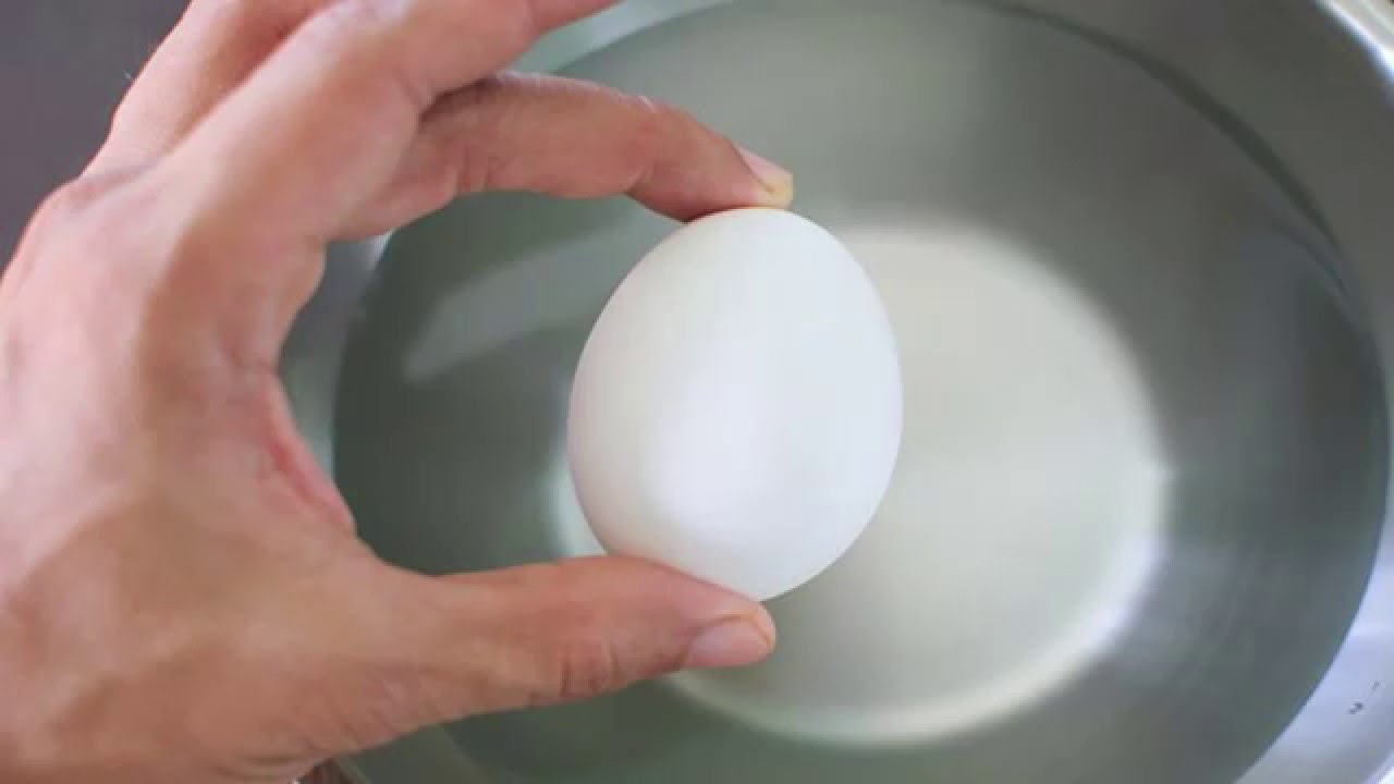 تفسير البيض الفاسد في المنام