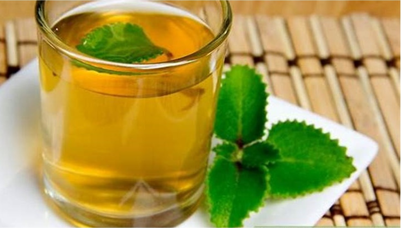 فوائد النعناع للتخسيس الكرش