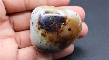 كيف تعرف الحجر السُليماني يعمل