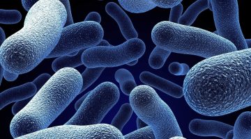 علاج بكتيريا البول بالأعشاب