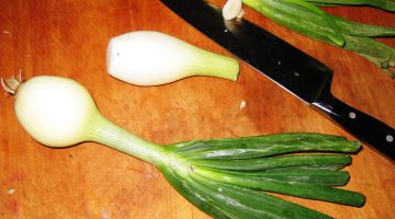 فوائد البصل الأخضر للحامل