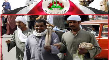 رابط الاستعلام عن منحة العمالة الغير منتظمة 2025