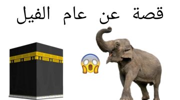 لماذا سمي بعام الفيل