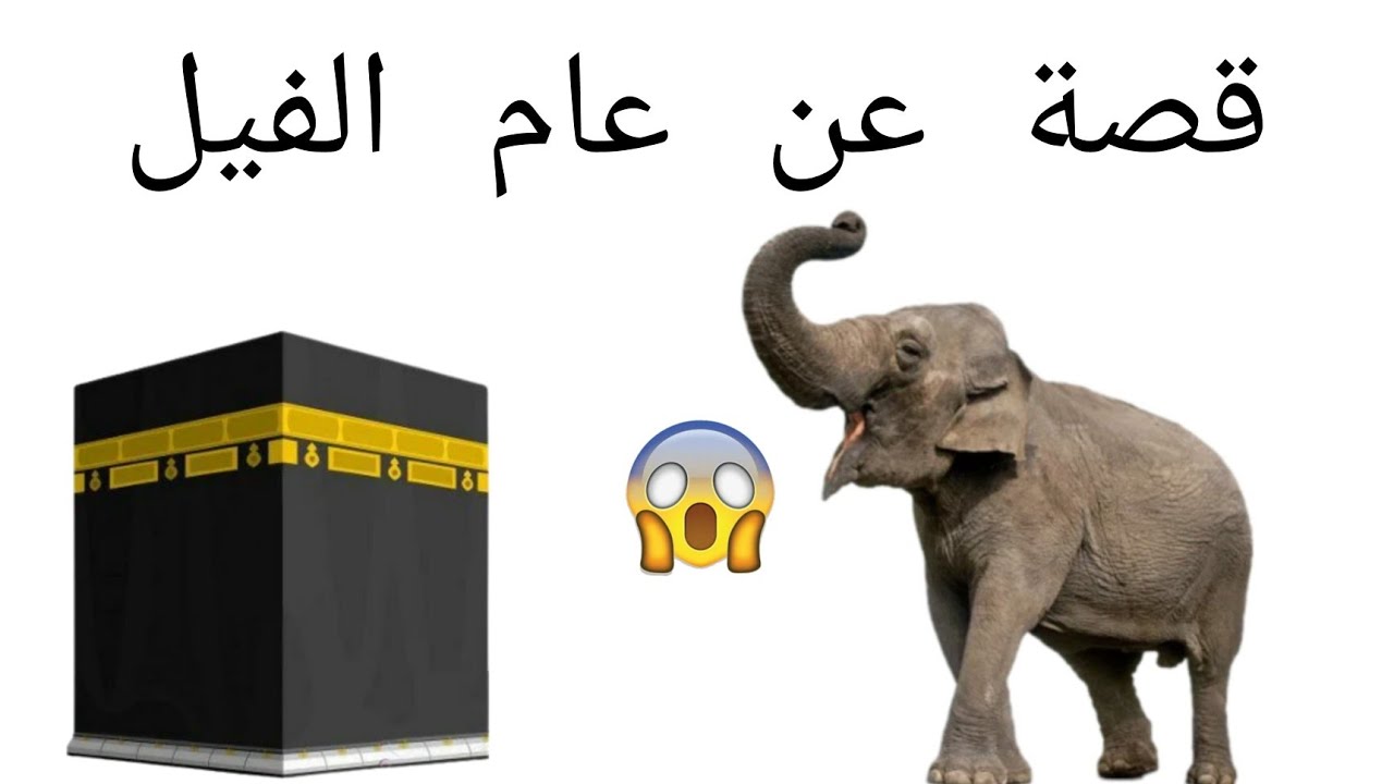 لماذا سمي بعام الفيل