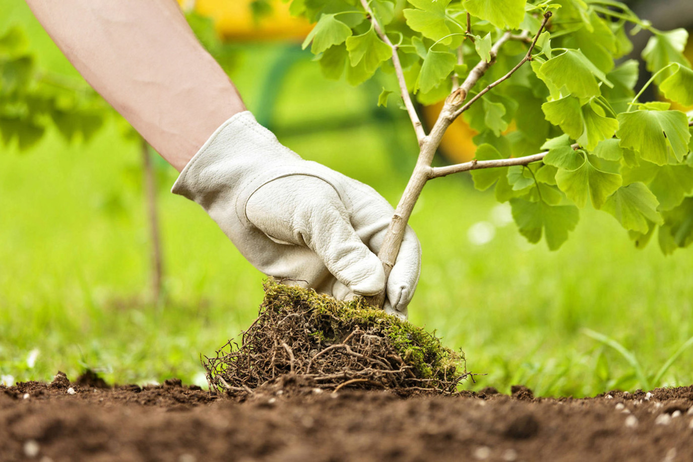 موضوع عن البيئة وكيفية المحافظة عليها