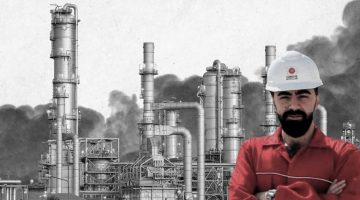 كم عدد كليات هندسة بترول في مصر