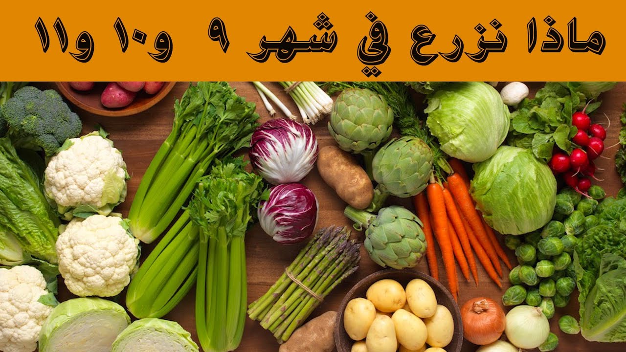 ماذا يزرع في شهر سبتمبر