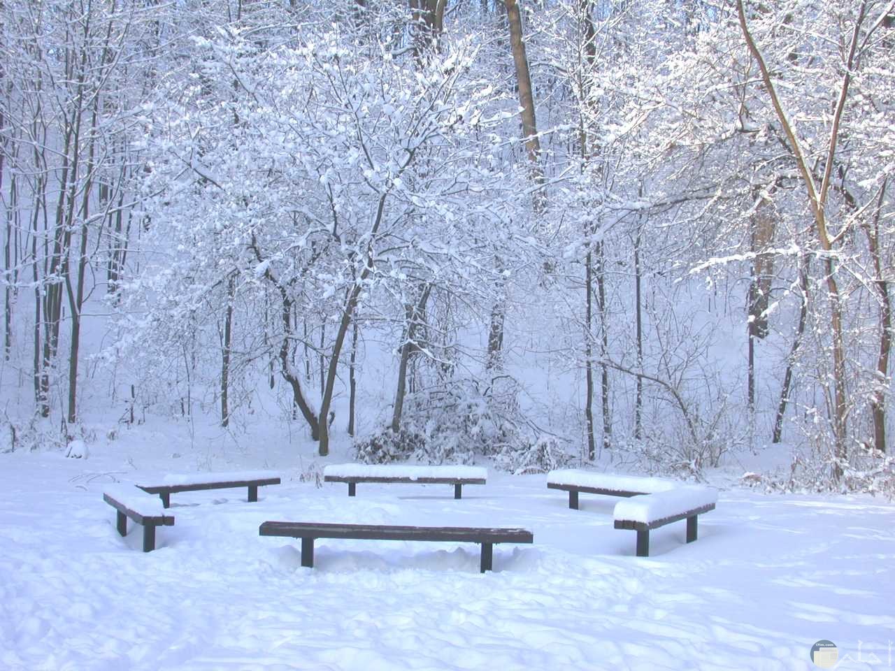 تفسير حلم رؤية الثلج في المنام