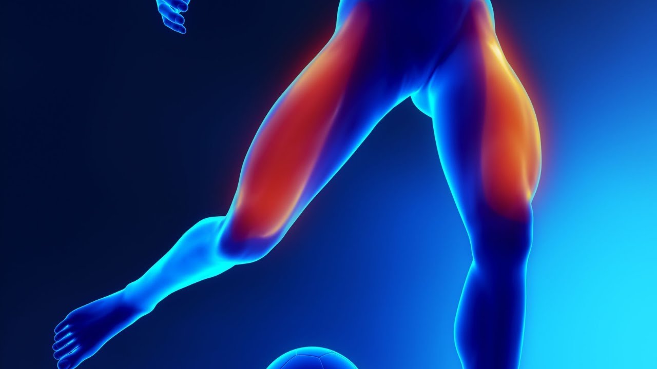 أسباب ألم الفخذ من الداخل