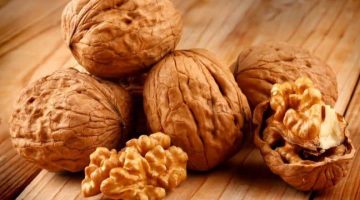 الفرق بين الجوز البرازيلي والجوز العادي