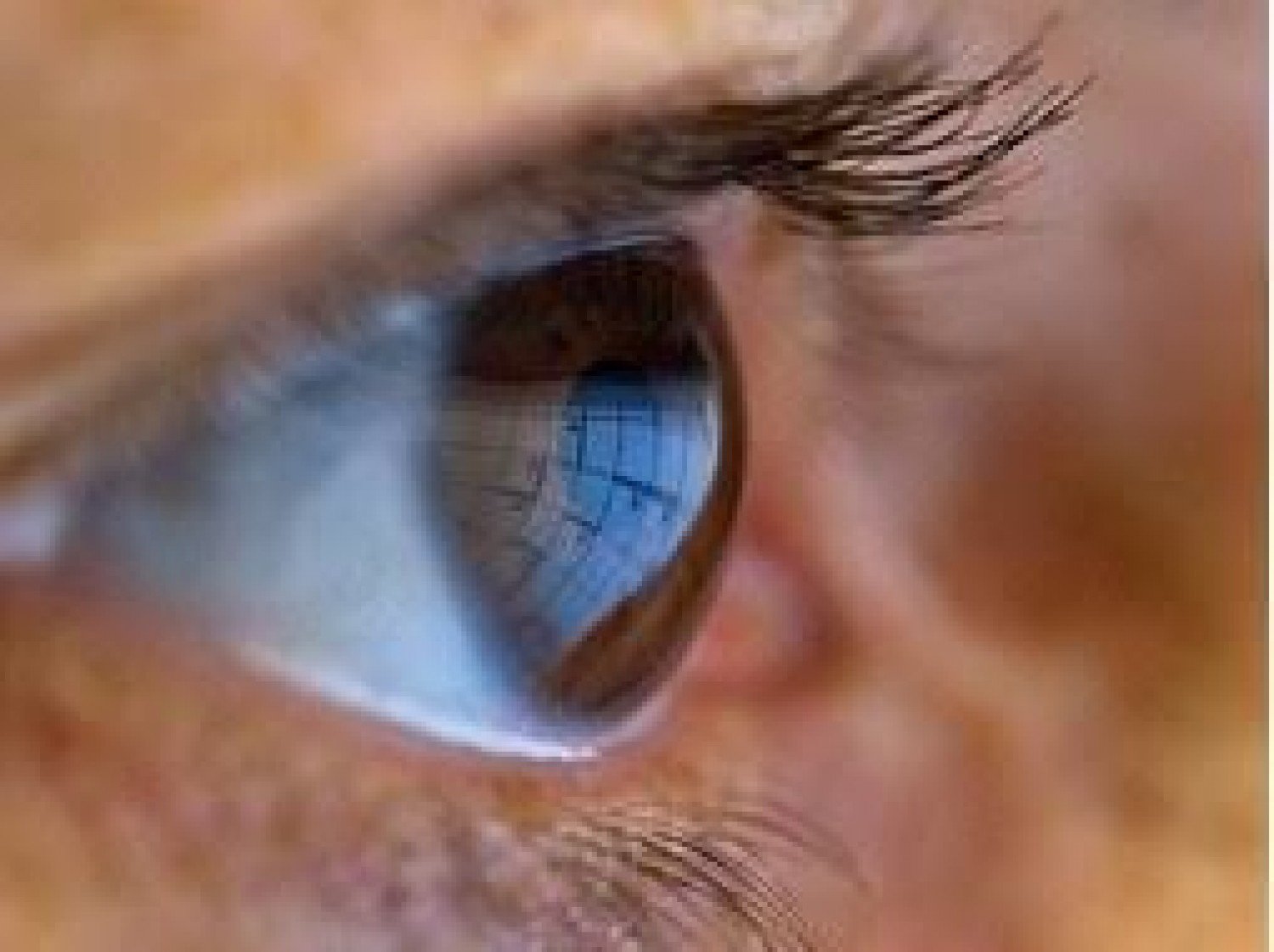 أفضل مرهم لعلاج جفاف العين