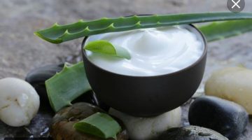 طريقة استخدام جل الصبار للشعر الجاف والمجعد