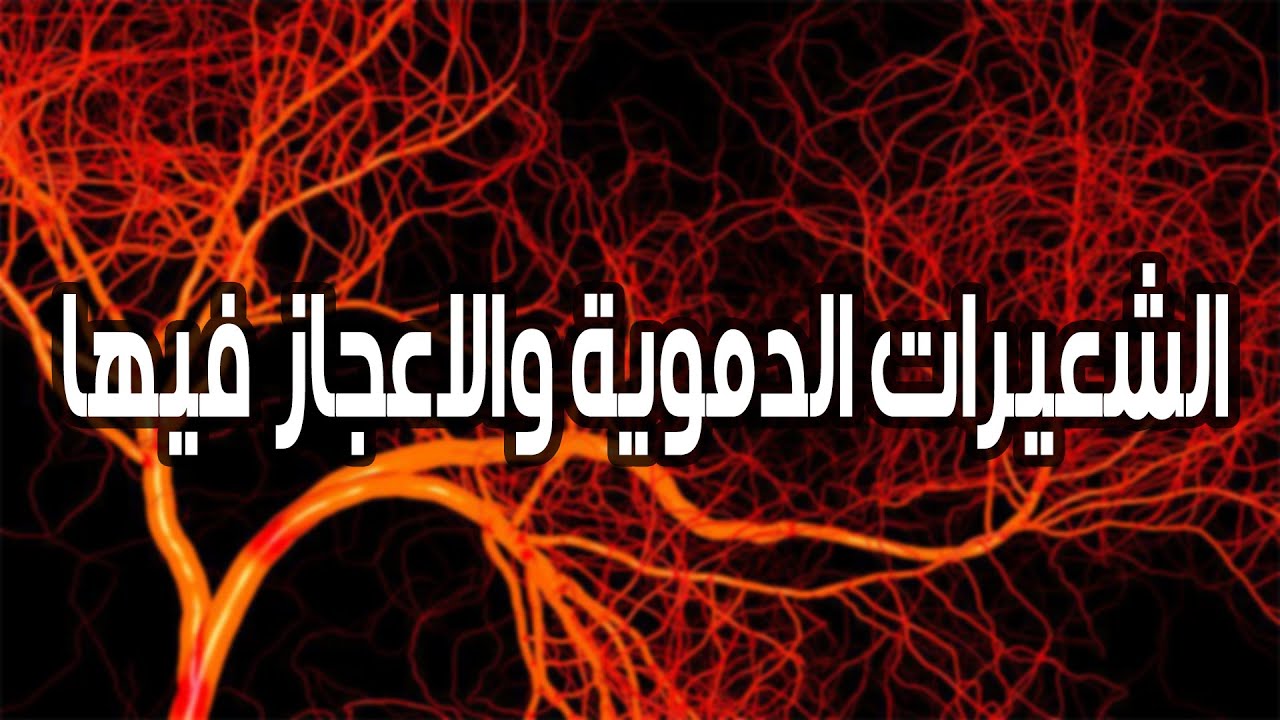 تجربتي مع الشعيرات الدموية