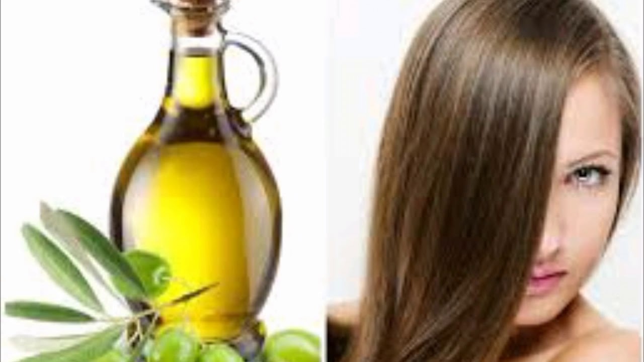 أي نوع من زيت الزيتون يستخدم للشعر