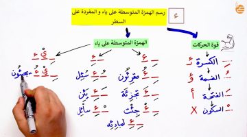 أمثلة على الهمزة المتوسطة
