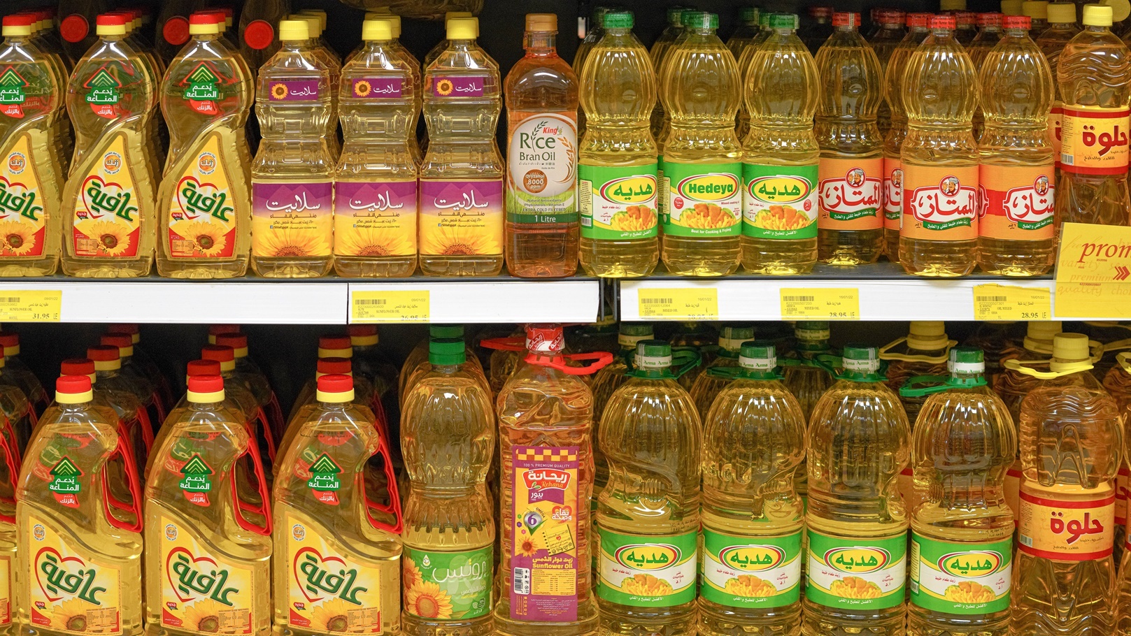 ارقام تليفونات مصانع زيوت الطعام