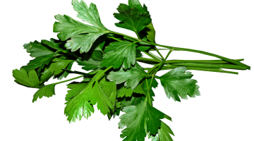 فوائد مغلي البقدونس مع الليمون