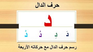 كلمات تنتهي بحرف الدال