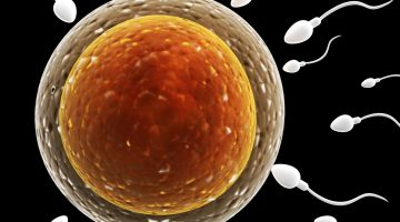 أعراض التبويض للبنات غير المتزوجات