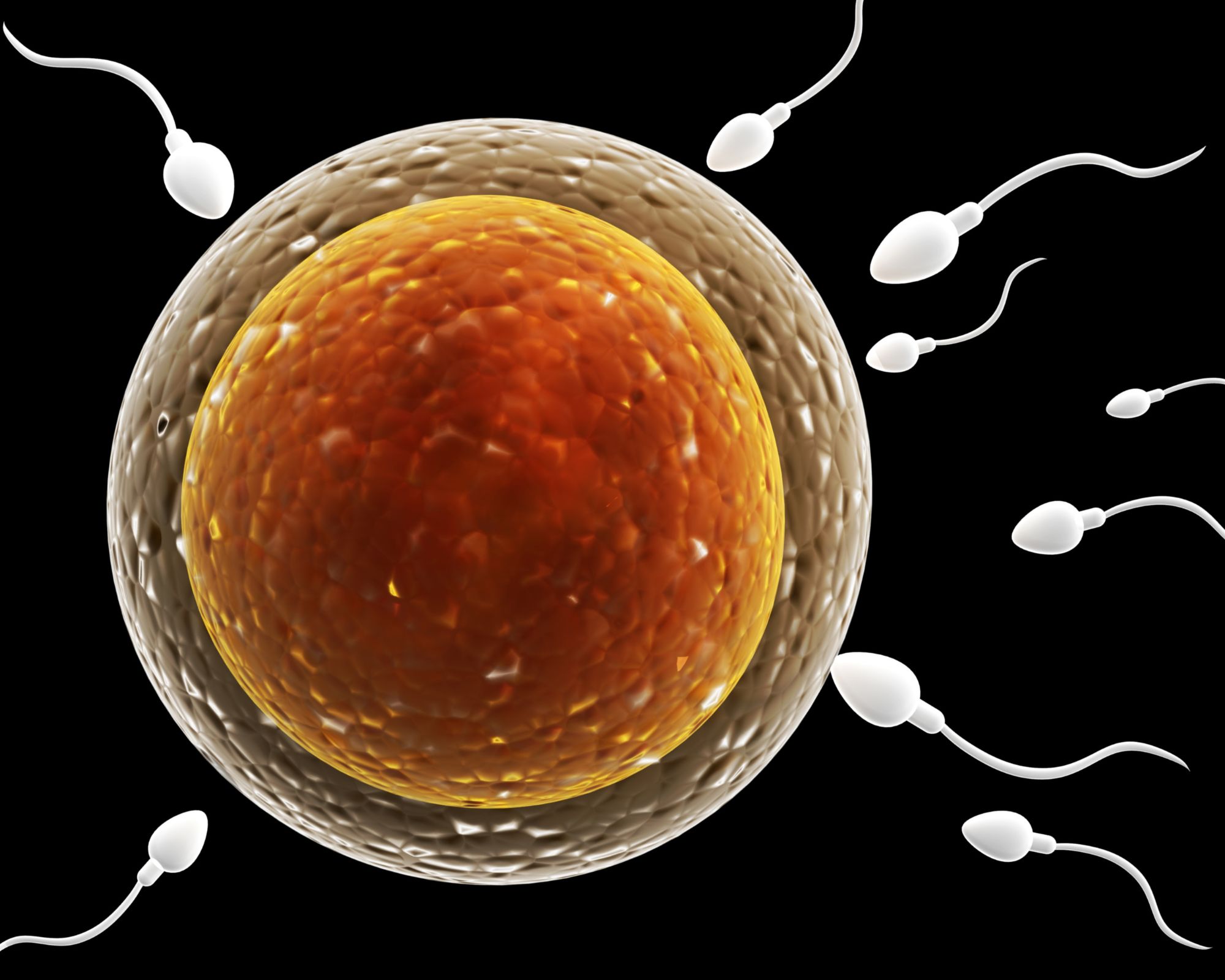 أعراض التبويض للبنات غير المتزوجات