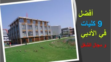 احسن كليات الأدبي من حيث الشغل