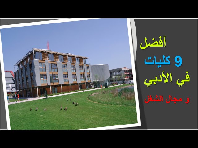 احسن كليات الأدبي من حيث الشغل