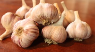 تجربتي مع حبوب الثوم كواي