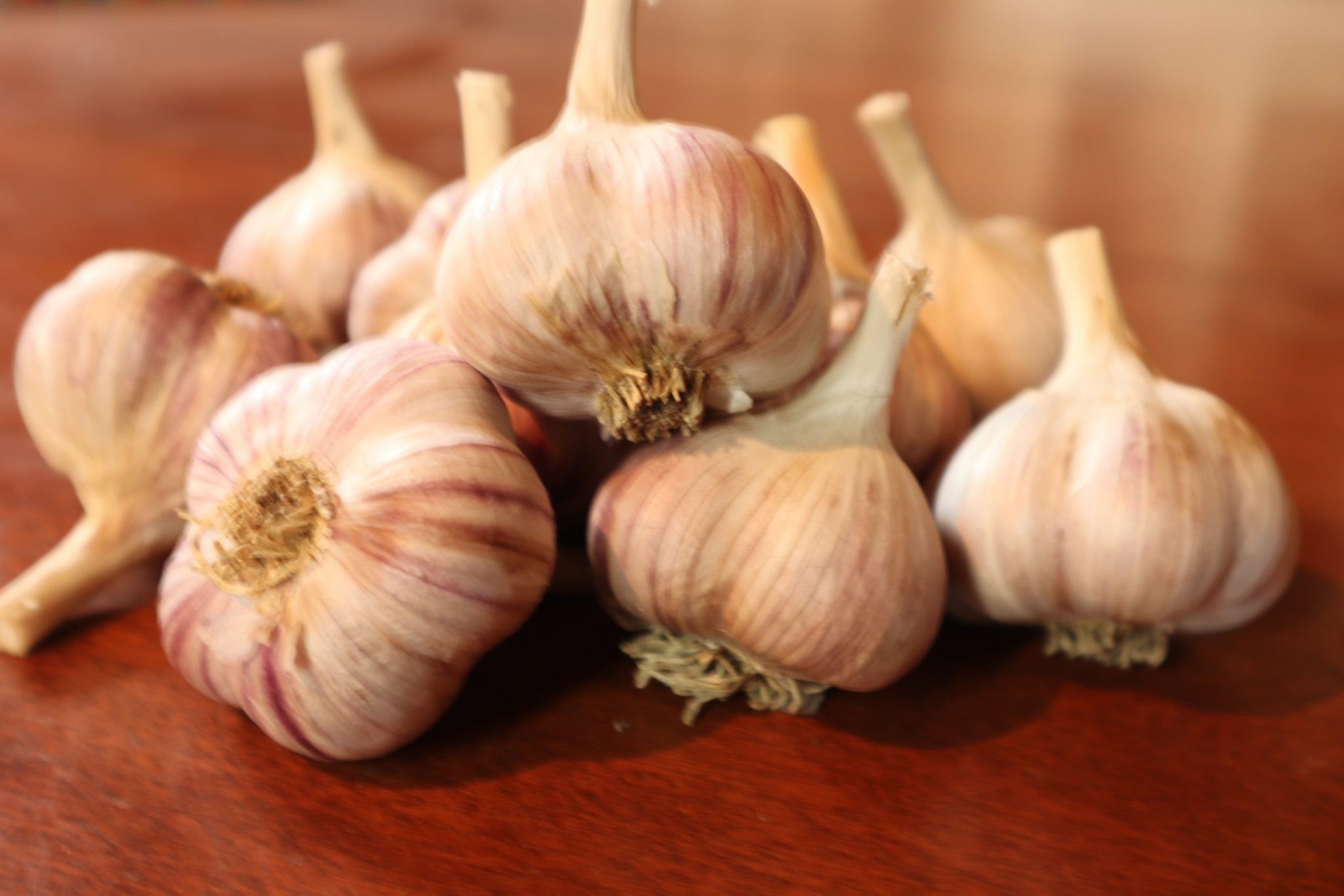 تجربتي مع حبوب الثوم كواي