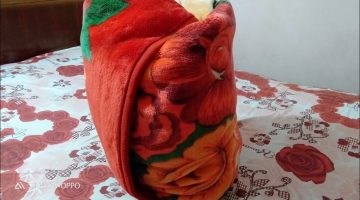 كيفية التخلص من وبر البطانية