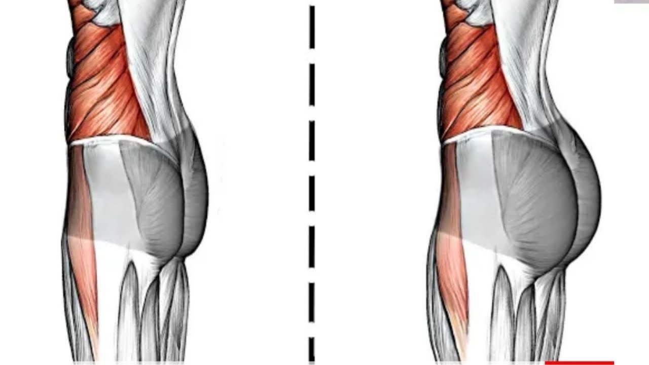 متى يتوقف نمو المؤخرة