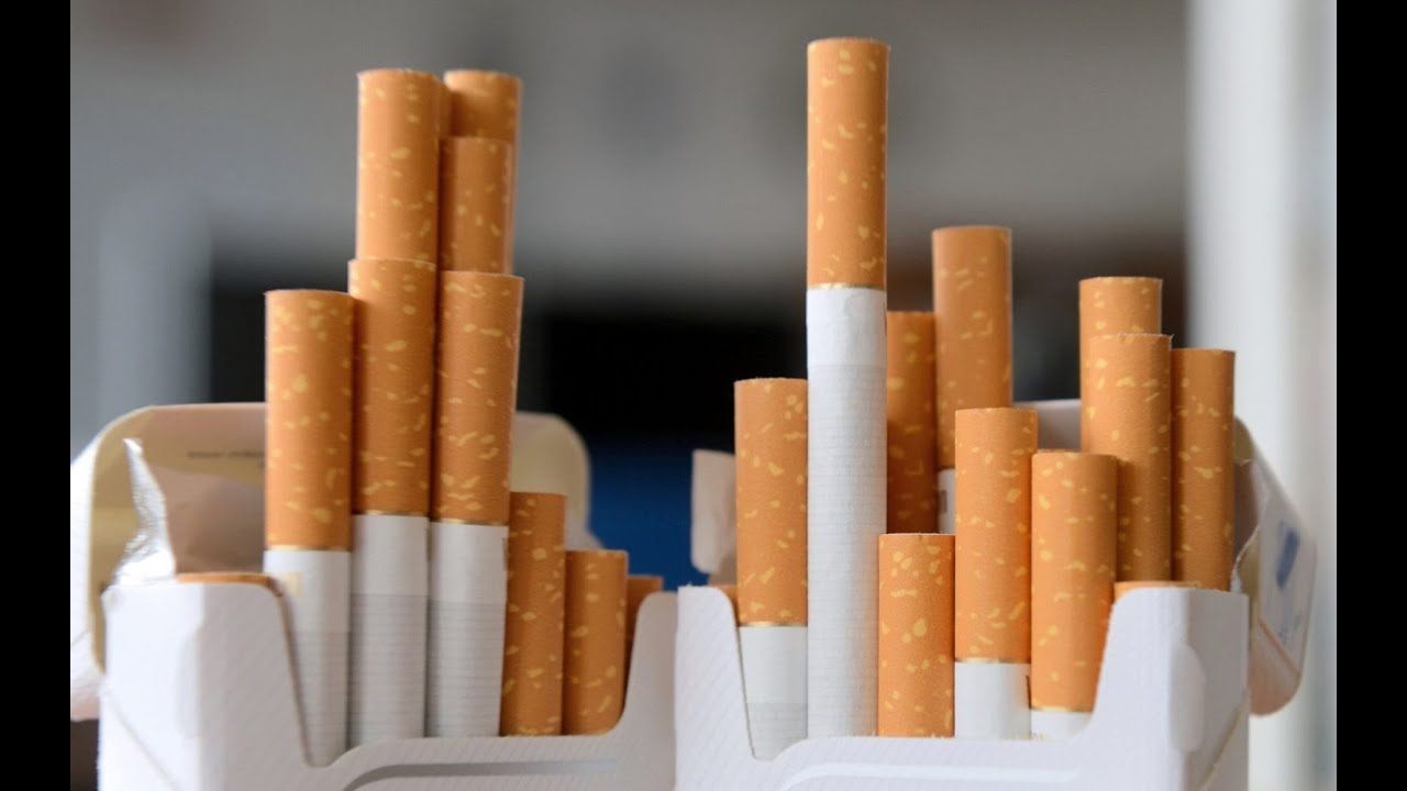 نسبة النيكوتين في السجائر الكليوباترا