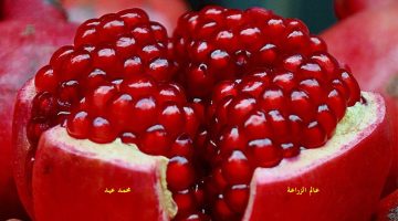 تفسير حلم الرمان الأحمر في المنام