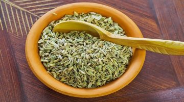 تجربتي مع الشمر للقولون