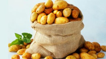 أكلات سريعة التحضير وغير مكلفة بالبطاطس